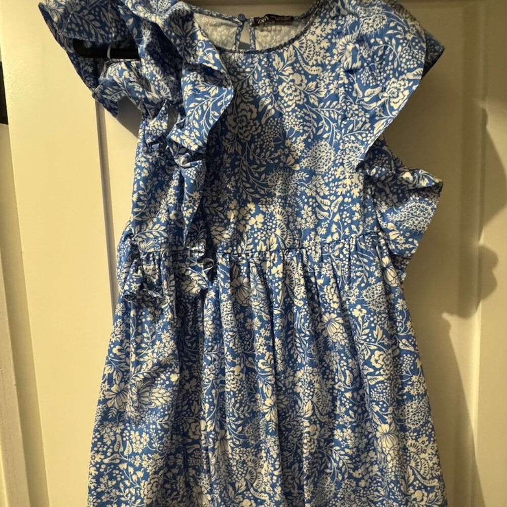 Zara Ruffle Dress - Picture 2 of 2